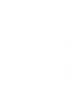 Colaborador